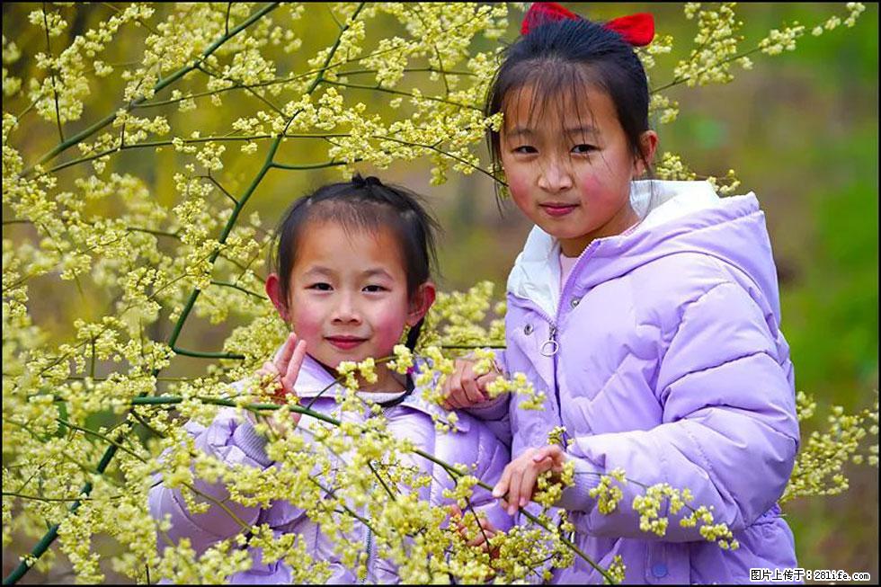 【春天,广西桂林灌阳县向您发出邀请!】米珠山前有片山苍子花在飘香 - 游山玩水 - 舟山生活社区 - 舟山28生活网 zhoushan.28life.com