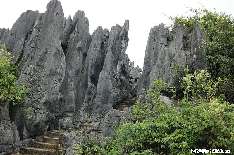 桂林旅游名城景点：灌阳文市石林 - 游山玩水 - 舟山生活社区 - 舟山28生活网 zhoushan.28life.com