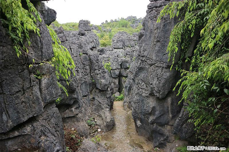 桂林旅游名城景点：灌阳文市石林 - 游山玩水 - 舟山生活社区 - 舟山28生活网 zhoushan.28life.com