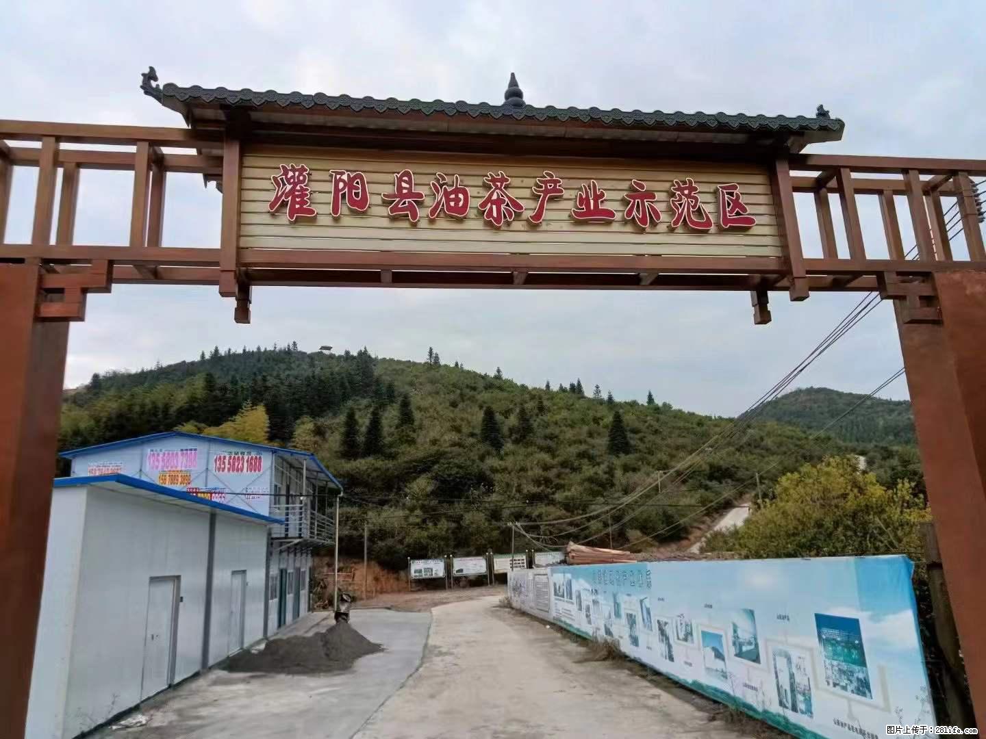 【灌阳县油茶产业示范区】一个有着充实的精神生活的人,对待身外之物自会有一种淡泊的态度 - 美食天地 - 舟山生活社区 - 舟山28生活网 zhoushan.28life.com