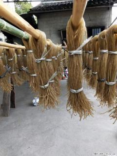 【灌阳正宗红薯粉】美女家里自己做的,干净卫生,假一赔十,价格合理,抢购电话:13737312895 - 舟山28生活网 zhoushan.28life.com