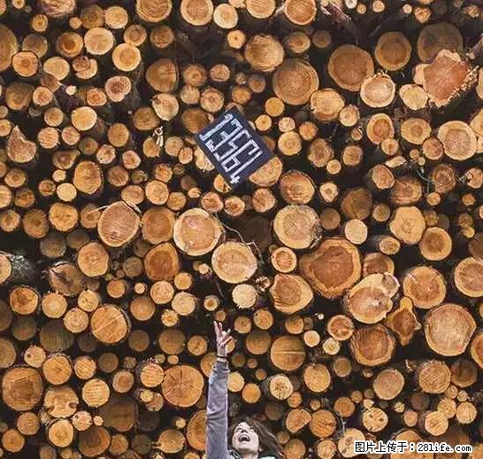 辞掉工作周游世界?现在他们在洗厕所…… - 游山玩水 - 舟山生活社区 - 舟山28生活网 zhoushan.28life.com