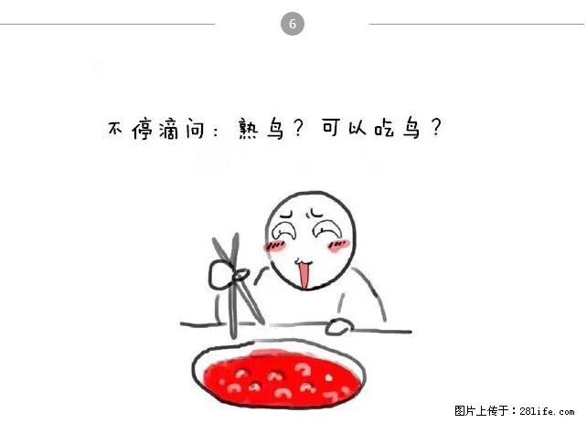 千万不要和这9种哈卵一起吃火锅! - 美食天地 - 舟山生活社区 - 舟山28生活网 zhoushan.28life.com