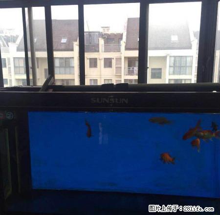 金海湾4室2厅3卫豪华装修出租 - 房屋出租 - 房屋租售 - 舟山分类信息 - 舟山28生活网 zhoushan.28life.com