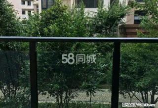 恒大晶筑城两室一厅一卫,精装修2600元 - 舟山28生活网 zhoushan.28life.com