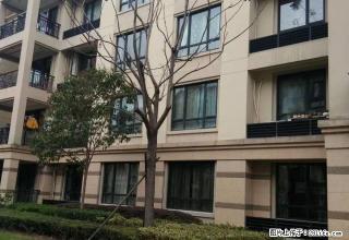 桂花城三室两厅一卫,精装修4500元 - 舟山28生活网 zhoushan.28life.com