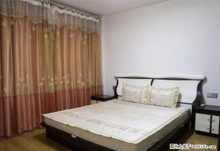 碧海莲缘3楼95平方二室一厅精装,室内干净明亮，温馨舒适。 - 舟山28生活网 zhoushan.28life.com