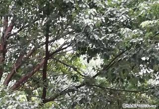 邻城故事138平方简单装修2200元, - 舟山28生活网 zhoushan.28life.com