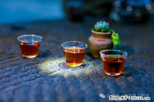 时间果百年古树2025年春红茶 - 购物交流 - 舟山生活社区 - 舟山28生活网 zhoushan.28life.com