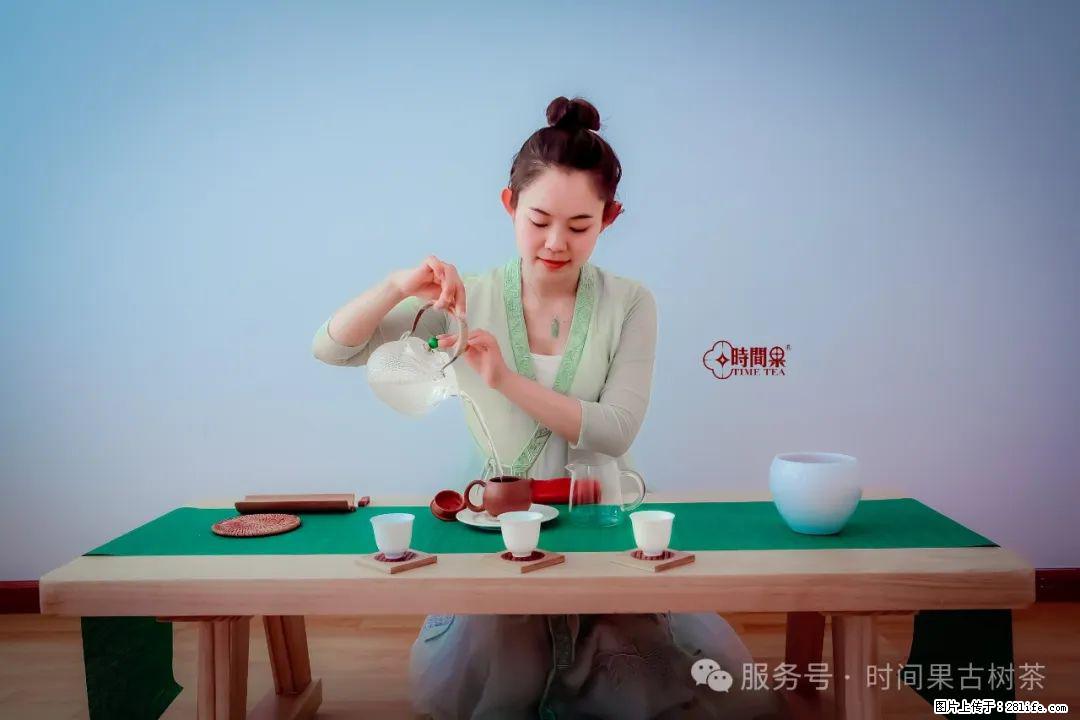 时间果百年古树龙珠普洱生茶 - 购物交流 - 舟山生活社区 - 舟山28生活网 zhoushan.28life.com