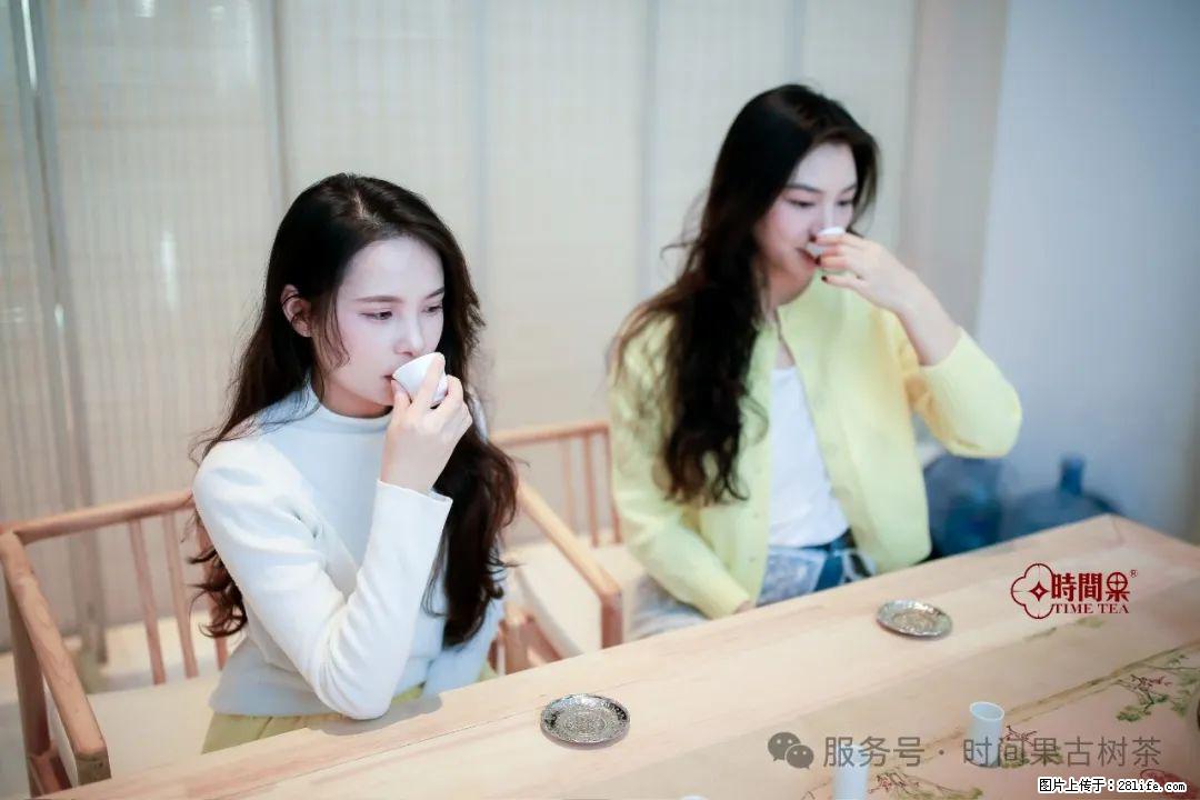 时间果百年古树龙珠普洱生茶 - 购物交流 - 舟山生活社区 - 舟山28生活网 zhoushan.28life.com