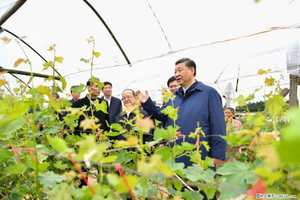习近平赴广西考察调研 - 舟山生活资讯 - 舟山28生活网 zhoushan.28life.com