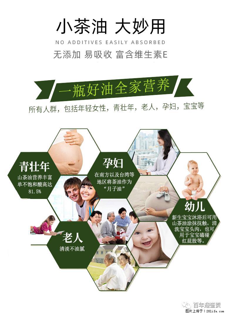 世界没有真相,只有认知,最好的食用油是中国的山茶油! - 舟山生活资讯 - 舟山28生活网 zhoushan.28life.com