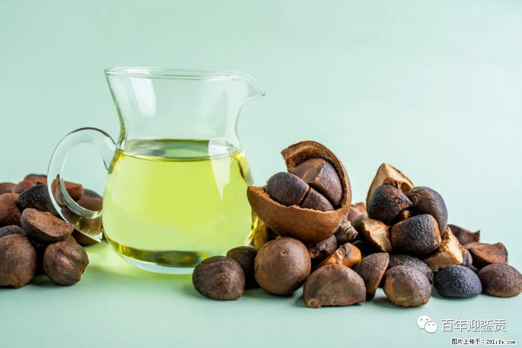 世界没有真相，只有认知，最好的食用油是中国的山茶油！ - 舟山生活资讯 - 舟山28生活网 zhoushan.28life.com