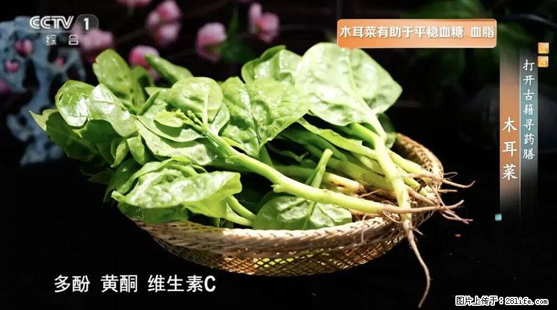 比牛奶补钙还厉害！凉血解毒、稳血糖...这菜冬天必吃，很多人却当草 - 舟山生活资讯 - 舟山28生活网 zhoushan.28life.com
