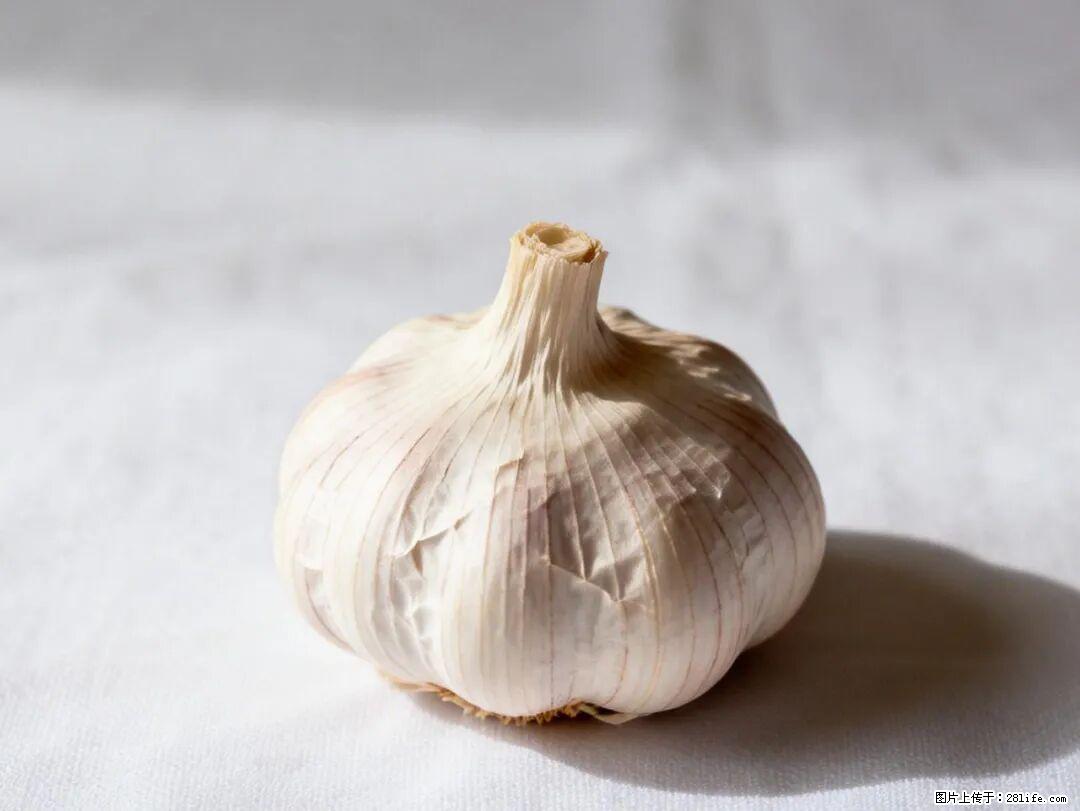 关于大蒜，除了“天然抗生素”，这4个谣言更该警惕! - 舟山生活资讯 - 舟山28生活网 zhoushan.28life.com