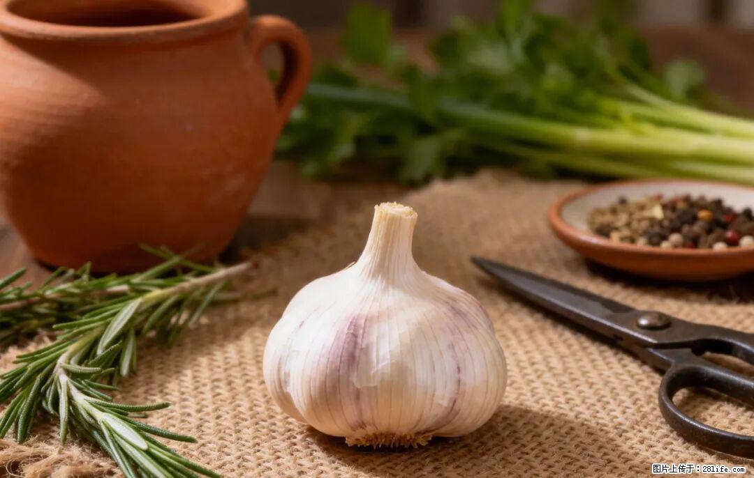 关于大蒜，除了“天然抗生素”，这4个谣言更该警惕! - 舟山生活资讯 - 舟山28生活网 zhoushan.28life.com