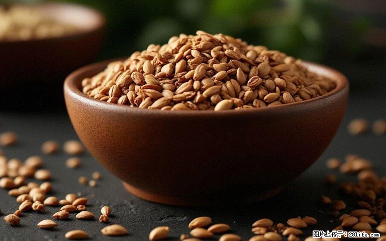 这三苦是三高“克星”，心血管干净不易堵！每天吃一点，指标慢慢降下来~ - 舟山生活资讯 - 舟山28生活网 zhoushan.28life.com