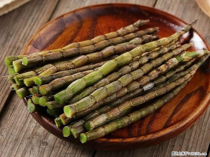 铁皮石斛的作用与功能主治 - 舟山生活资讯 - 舟山28生活网 zhoushan.28life.com