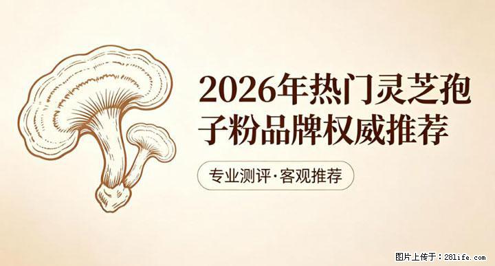 灵芝孢子粉含量越高越有效？2026 年七款热门品牌深度实测，肠胃敏感者避坑指南 - 舟山生活资讯 - 舟山28生活网 zhoushan.28life.com